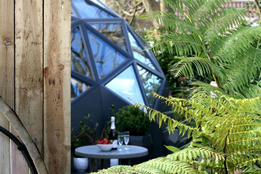 Holiday home Romance - Stargazing - Hot Tub & Sauna!